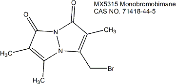 Monobromobimane （mBBr） 单溴二胺