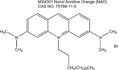 壬基吖啶橙（NAO）线粒体荧光探针