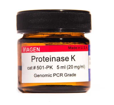 Proteinase K 蛋白酶K 20mg/ml  基因组DNA