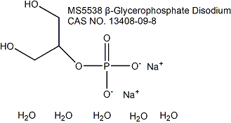 BGP β-甘油磷酸钠（13408-09-8）生化试剂