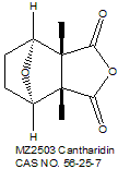 Cantharidin 斑蝥素（PP2A抑制剂）