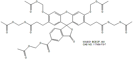 BCECF AM pH荧光探针/载体