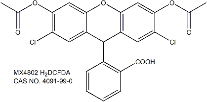 H2DCFDA（DCFH-DA） 活性氧荧光探针