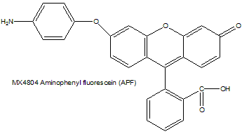 Aminophenyl