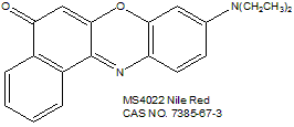 Nile Red 尼罗红（脂质探针）