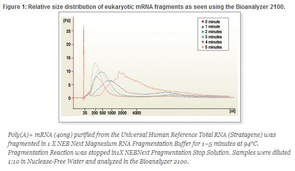 NEB代理 , RNA 试剂 , 二代测序 RNA 文库制备试剂