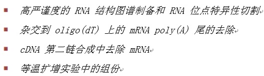 NEB代理 , RNA 试剂 , RNA 连接酶和修饰酶