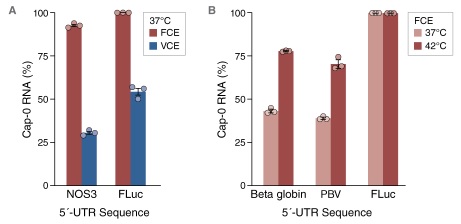 NEB代理 , RNA 试剂 , RNA 合成