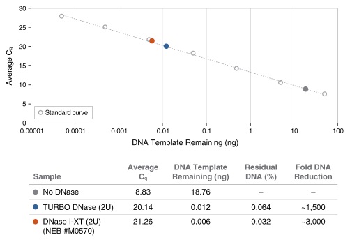 NEB代理 , RNA 试剂 , RNA 合成