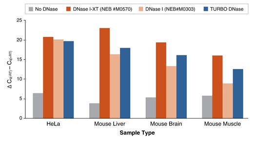 NEB代理 , RNA 试剂 , RNA 合成