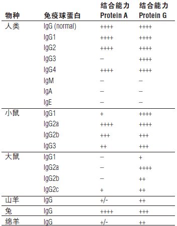 NEB代理 , 蛋白表达和纯化技术 , 表达系统 ：磁性基质和磁分离架