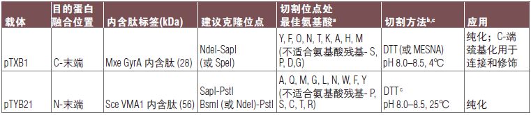 NEB代理 , 蛋白表达和纯化技术 , 表达系统 ：大肠杆菌