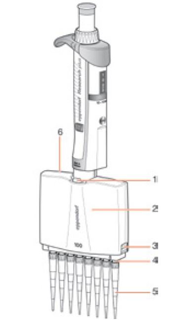 Eppendorf艾本德 Research&#174;12道移液器 100ul （3122 000.043）