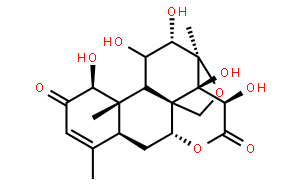 鸦胆子素D