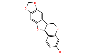 高丽槐素