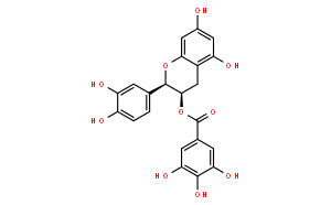 表儿茶素没食子酸酯