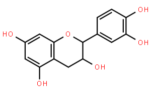 表儿茶素