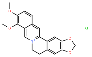 盐酸小檗碱