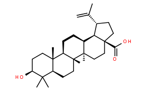 白桦脂酸