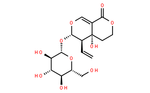 獐牙菜苦甙