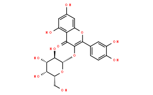 槲皮素 3-D-半乳糖苷