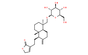 新穿心莲内酯