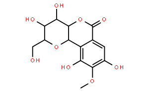 岩白菜素