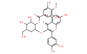 2”-O-没食子酰基金丝桃苷