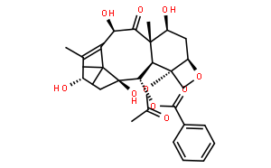 10-脱乙酰基巴卡丁 III (10-DAB)