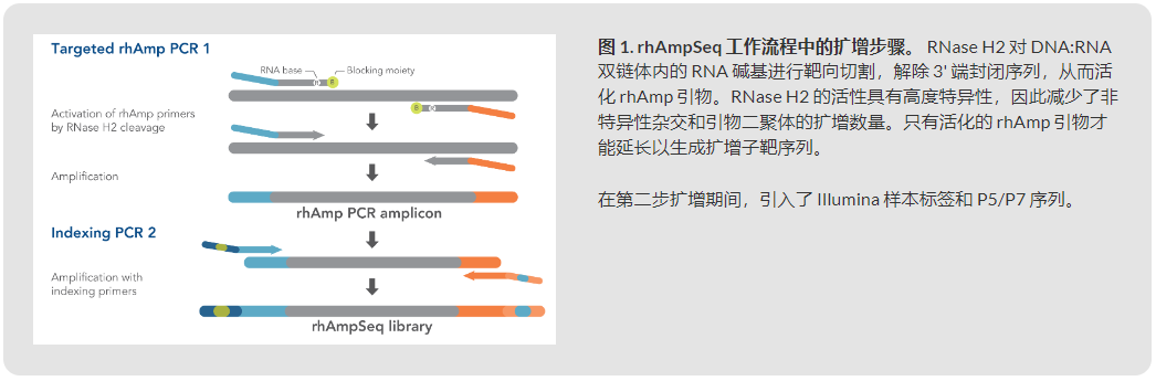 IDT埃德特 rhAmpSeq™ CRISPR 分析系统