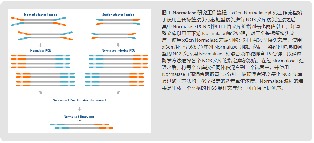 IDT埃德特 xGen™ Normalase™ 模块