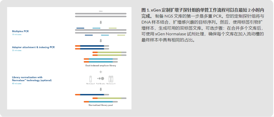 IDT埃德特xGen™ NGS 扩增子测序