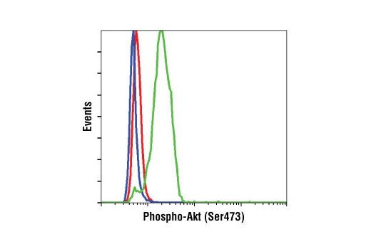 CST   Phospho-Akt (Ser473) (D9E) XP ® Rabbit mAb  4060T 4060L 4060S