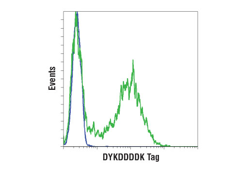 CST   14793S  DYKDDDDK Tag (D6W5B) Rabbit mAb (Binds to same epitope as Sigma's Anti-FLAG ® M2 Antibody)