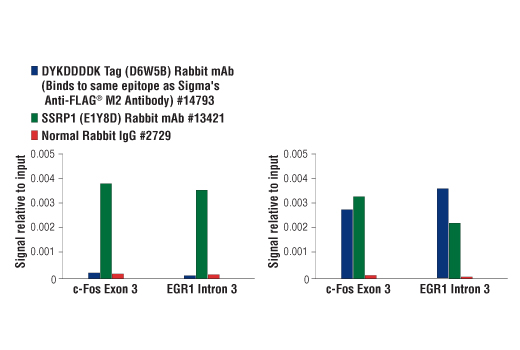 CST   14793S  DYKDDDDK Tag (D6W5B) Rabbit mAb (Binds to same epitope as Sigma's Anti-FLAG ® M2 Antibody)