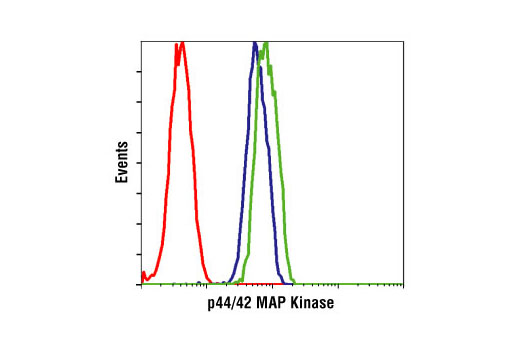 CST   p44/42 MAPK (Erk1/2) (137F5) Rabbit mAb  4695S 4695T