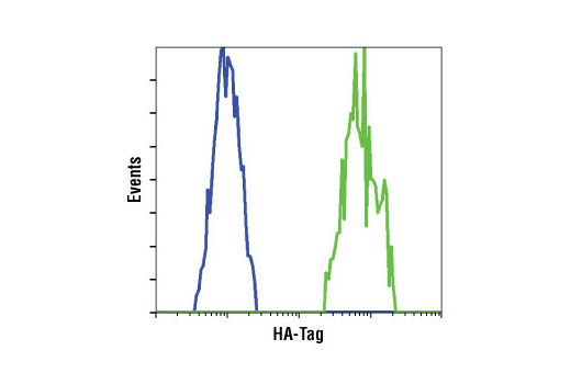 CST   HA-Tag (C29F4) Rabbit mAb  3724S 3724T