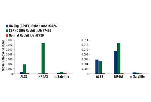 CST   HA-Tag (C29F4) Rabbit mAb  3724S 3724T