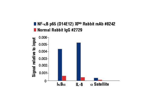 CST   NF-kappaB p65 (D14E12) XP ® Rabbit mAb   8242S  8424T