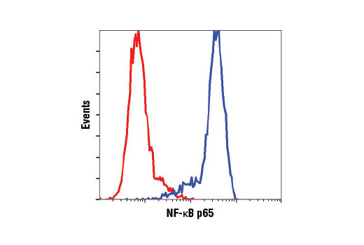 CST   NF-kappaB p65 (D14E12) XP ® Rabbit mAb   8242S  8424T