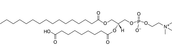JinPan1-棕榈酰基-2-氮杂酰基-sn-甘油-3-磷酸胆碱 CAS : 117746-89-1 P130749