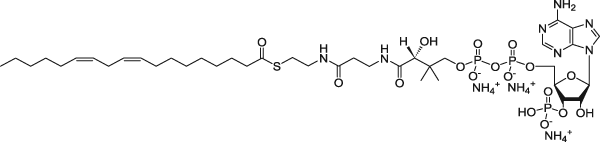 JinPan (9Z,12Z-十八碳二烯酰基)辅酶A(铵盐) CAS : 1246304-39-1 Z130772