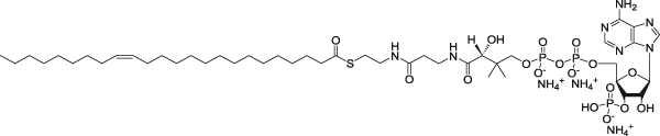 JinPan (15Z-十四烯酰基)辅酶A(铵盐) CAS : 800376-90-3 Z130769