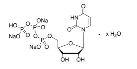 JinPan5’-三磷酸尿苷三钠(UTP) CAS : 19817-92-6 U100365