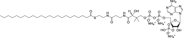 JinPan 十三烷酰基辅酶A(铵盐) CAS : 799812-97-8 T130767
