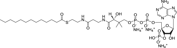 JinPan十三烷酰基辅酶A(铵盐) CAS : 1246304-38-0 T130761